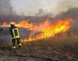 Пожежі на території Міловського району локалізовані