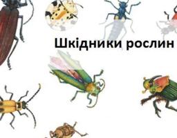 Управління фітосанітарної безпеки Держпродспоживслужби в Луганській області: КОРОТКОСТРОКОВИЙ ПРОГНОЗ появи та розвитку шкідників та хвороб сільськогосподарських культур жовтень