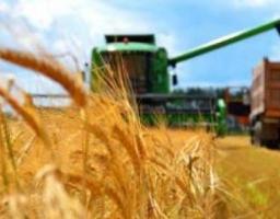 Алгоритм отримання сільськогосподарським товаровиробником коштів з резервного фонду бюджету