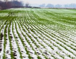Аграрії Міловського району готуються до весняно-польових робіт