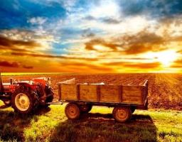 Уряд ухвалив постанову щодо спрощення міжнародної торгівлі зерновими культурами