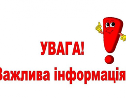 Вирубка або купівля несертифікованої «лісової красуні»